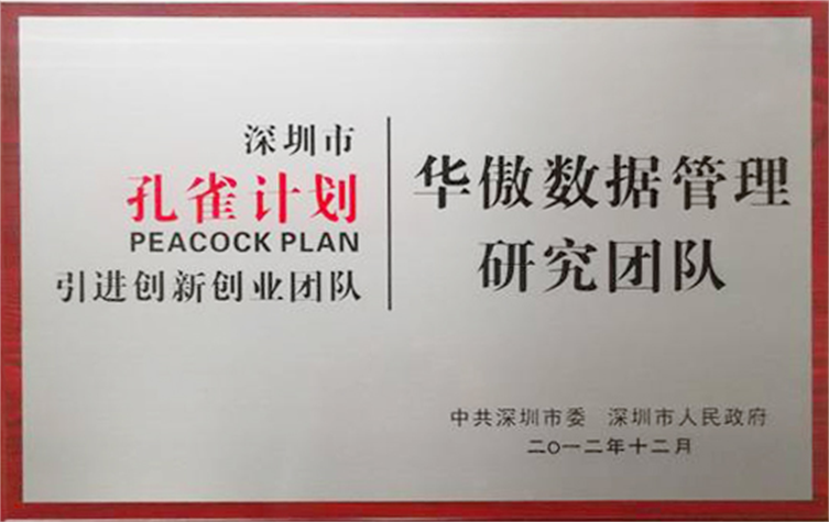 深圳市孔雀团队