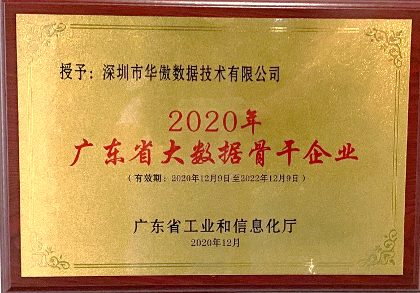 广东省大数据骨干企业