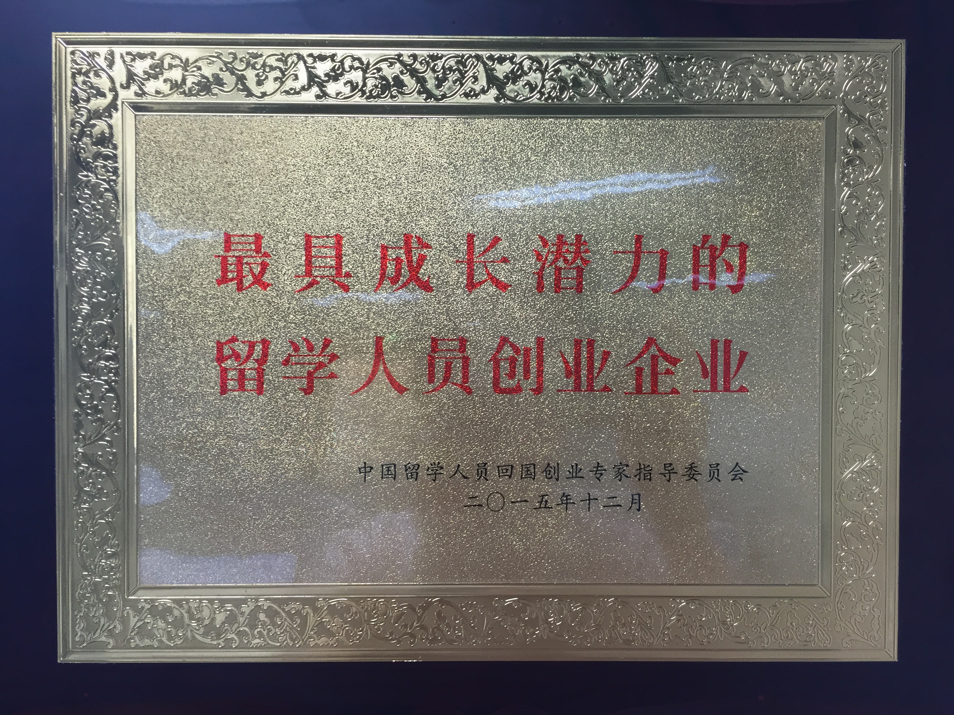 最具成长潜力的留学人员创业企业